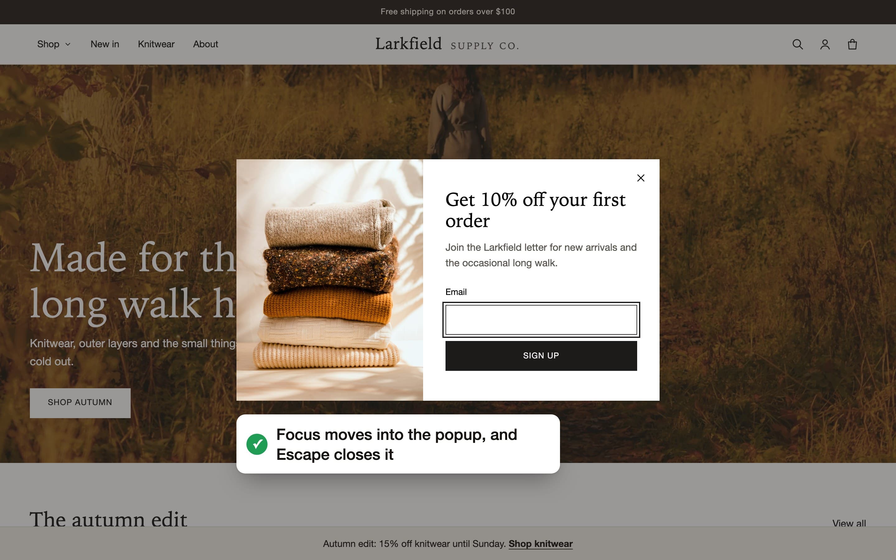 The sign-up popup with a focus ring on its email field.