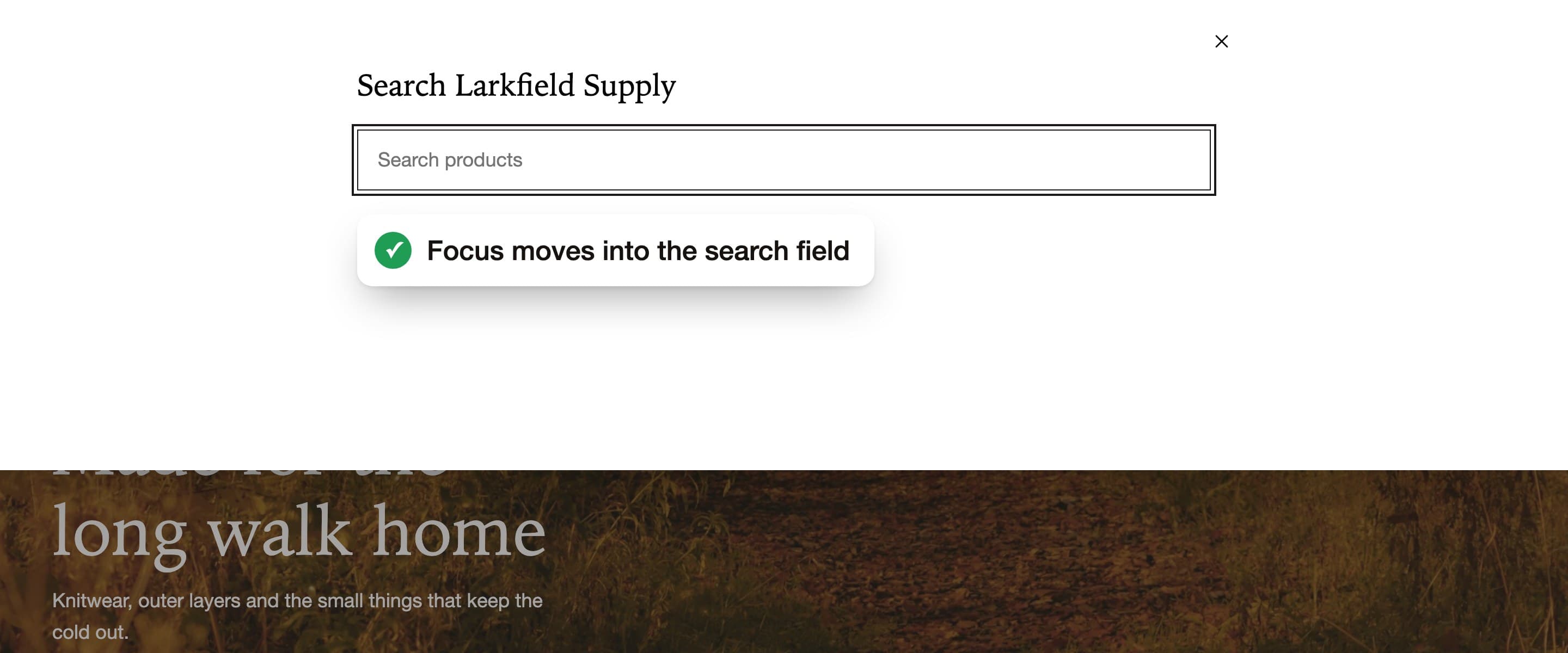 The open search panel with a focus ring on the search field.